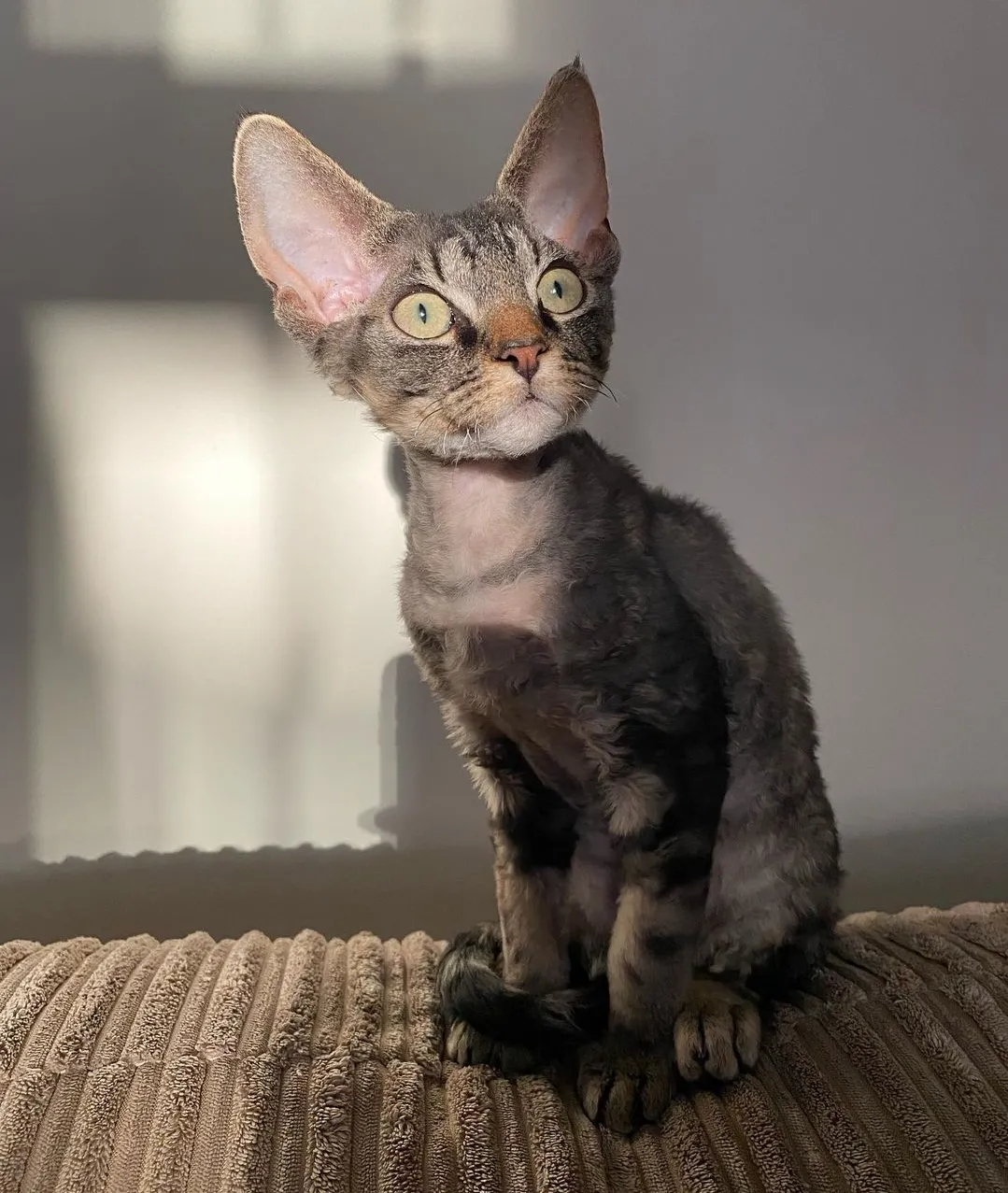 Murphy